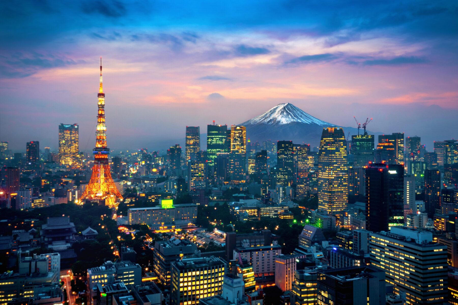 Aerial view of Tokyo cityscape with Fuji mountain in Japan, Tokyo